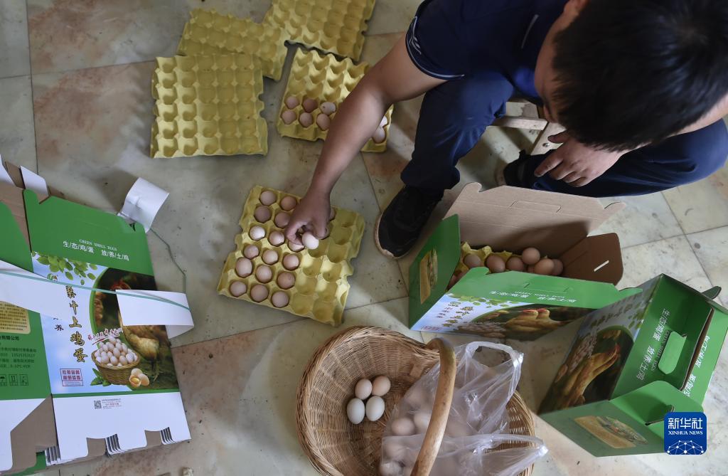 奔驰宝马游戏单机版
